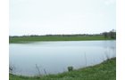 Property photo 8 - 188 Acres Offered in 5 Tracts